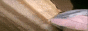 senkodev's 88x31 button