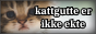sad kitten looking at viewer with text saying kattgutte er ikke ekte