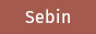 sebin-nyshkim.net