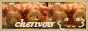 cherivoir!! website button