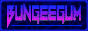 BUNGEEGUM