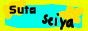 My Website Button