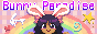 bunny paradise