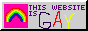 This User is Gay