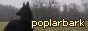 Button linking to poplarbark