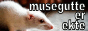 https://web.archive.org/web/20250610191352/https://av70.neocities.org/