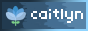88x31 of caitlyn