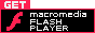 Obtén el reproductor de Flash