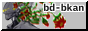 BD_Bandkanon