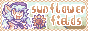 Sol's Sunflower Field