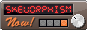 skeuomorphism now button