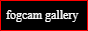 fogcam gallery