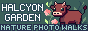 https://halcyon-garden.dreamwidth.org/