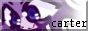 https://cartercoding.com/