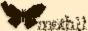 https://moth11.net/