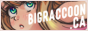 https://bigraccoon.ca/