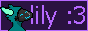 lily's button