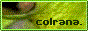 https://colrana.neocities.org/