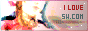 Shockwings.com