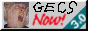 Gecs NOW!