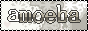 amobea